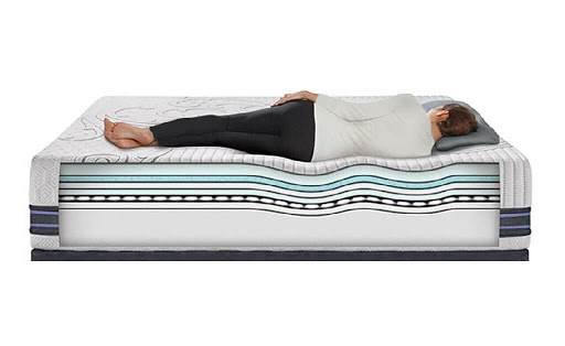 از نوع تشک های رویال از ساده ترین مدل های تشک خواب هستند که هزینه پایین تری نسبت به سایر تشک ها دارند و دارای دو مدل تشک های فنر متصل و فنر منفصل می باشند